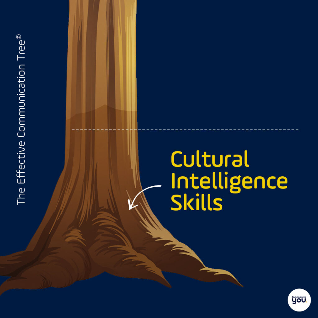 2 Cultural Intelligence Skills