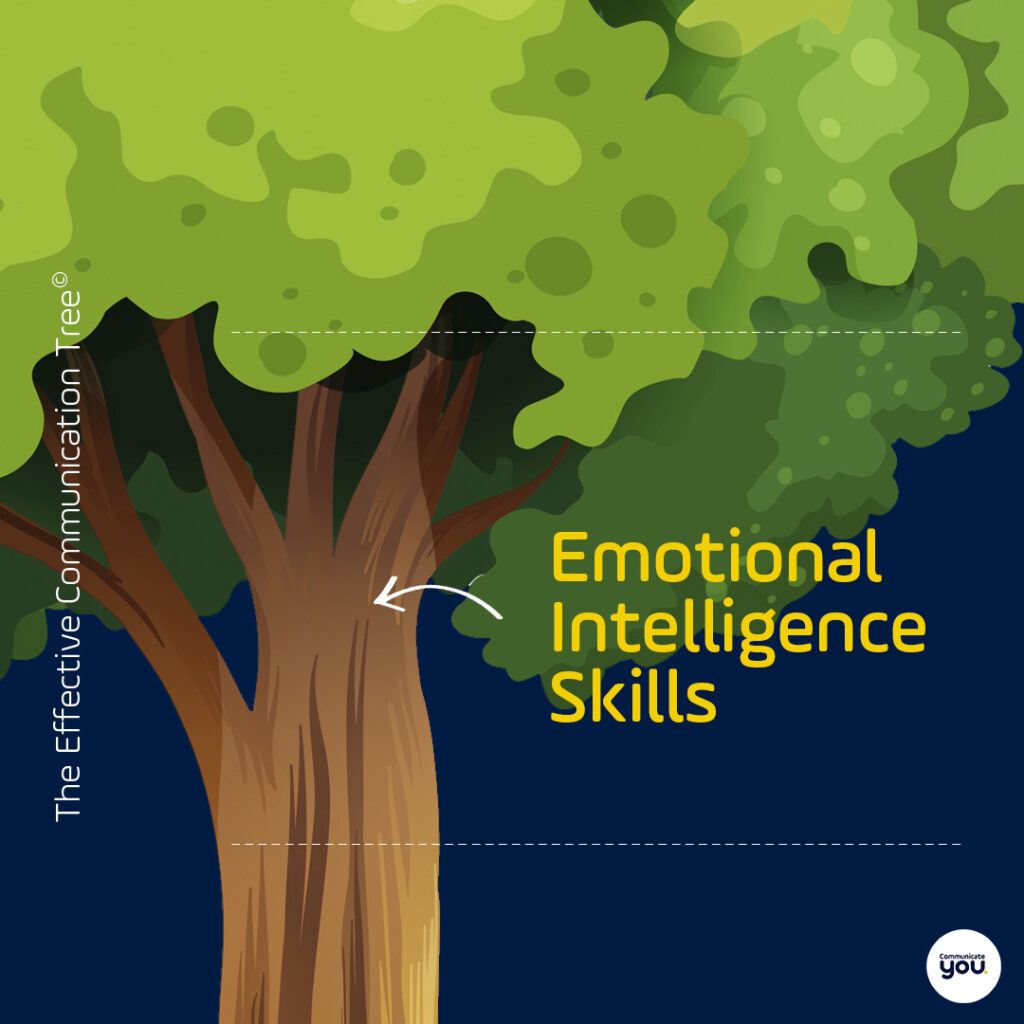 3 Emotional Intelligence Skills